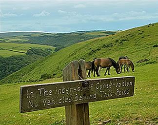 Lots to See and Do in North Devon