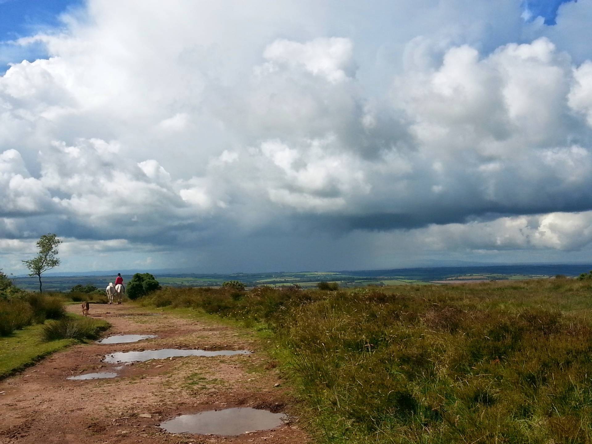 Riders on East Anstey Moor